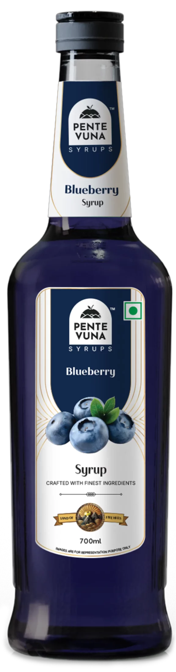 Blueberry-Syrup-Bottle-scaled